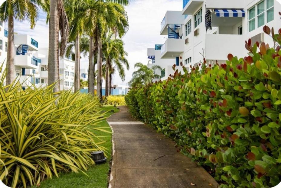 Apartament Breezy Nights Puerto Rico Loiza Zewnętrze zdjęcie